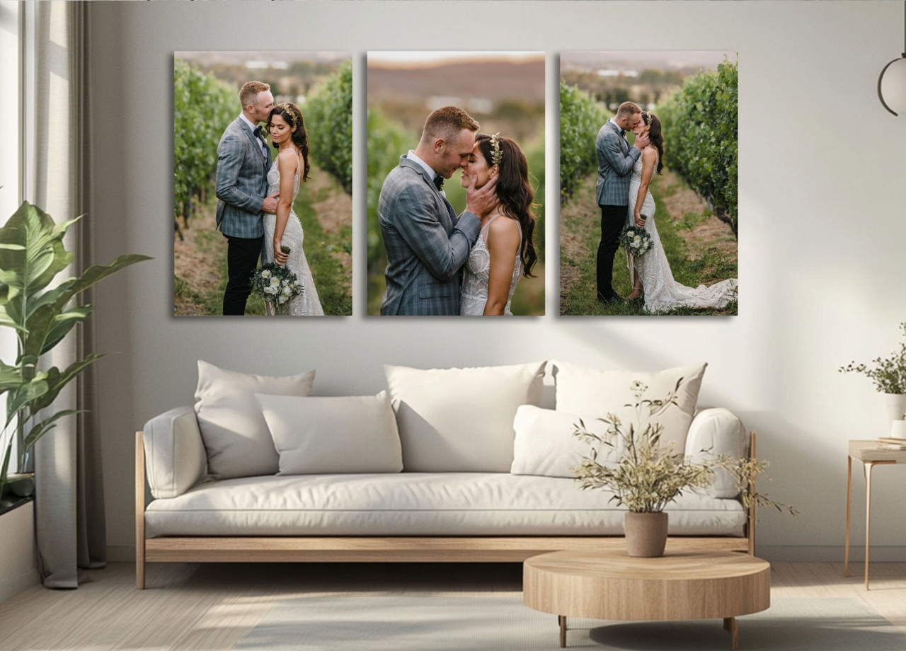 CANVAS COLLECTIONS