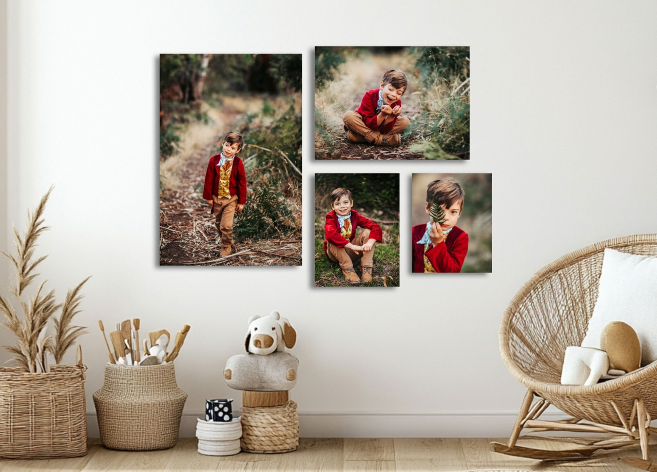 CANVAS COLLECTIONS