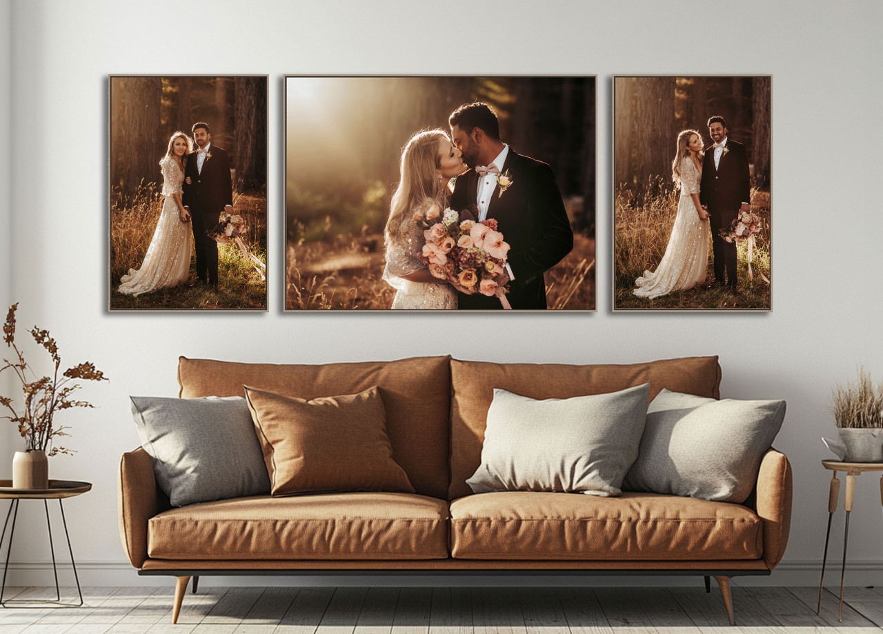 FRAMED CANVAS COLLECTIONS