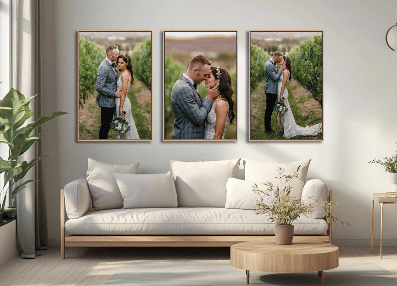 FRAMED CANVAS COLLECTIONS