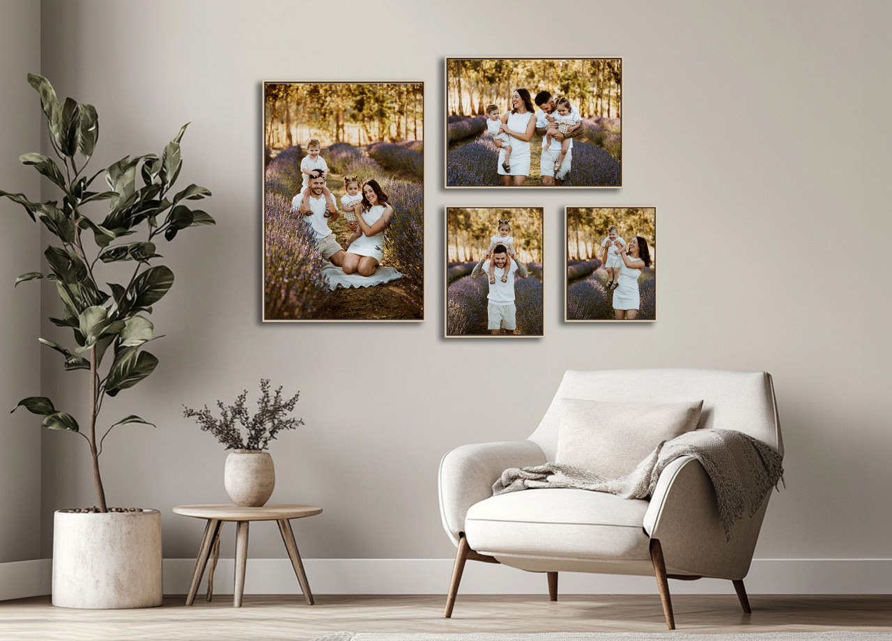 FRAMED CANVAS COLLECTIONS