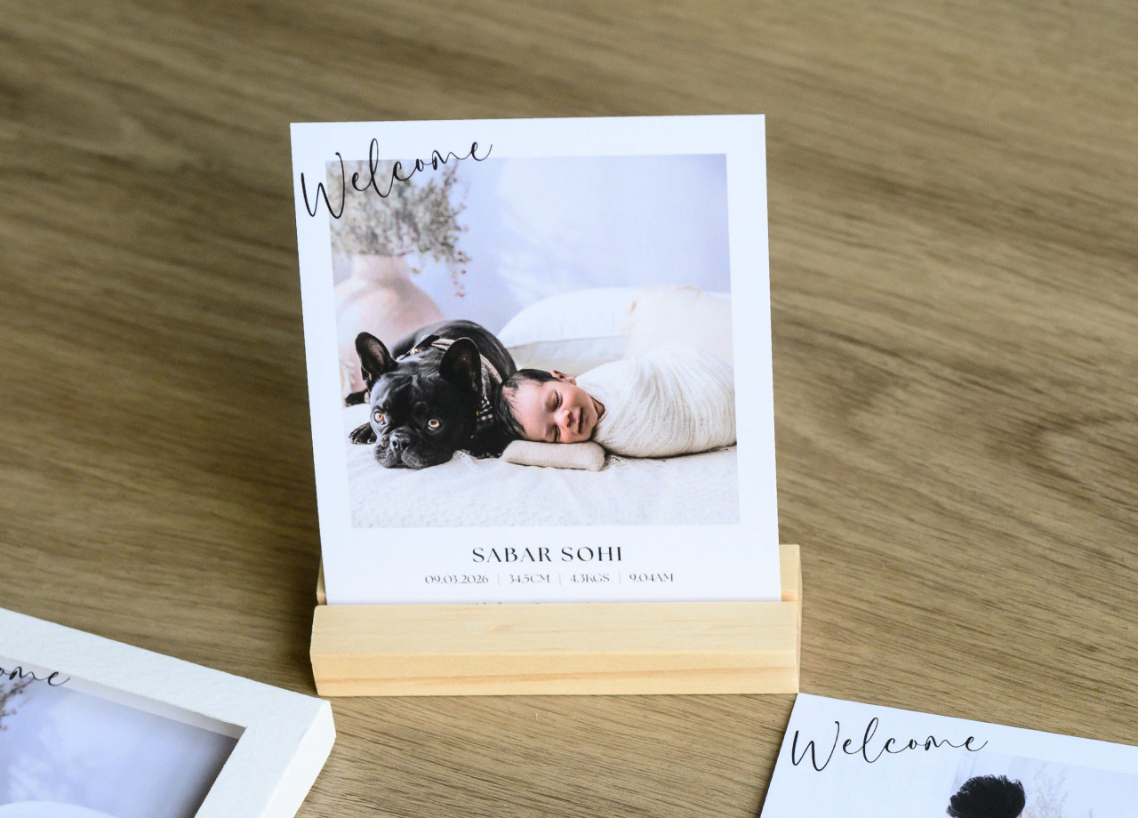 Hipster Packs