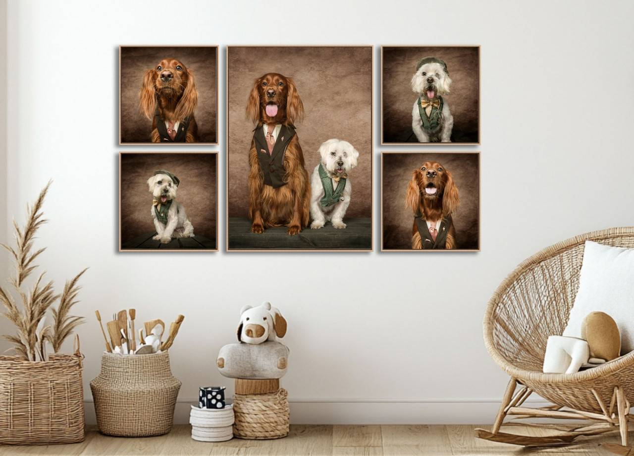 Quin Gallery