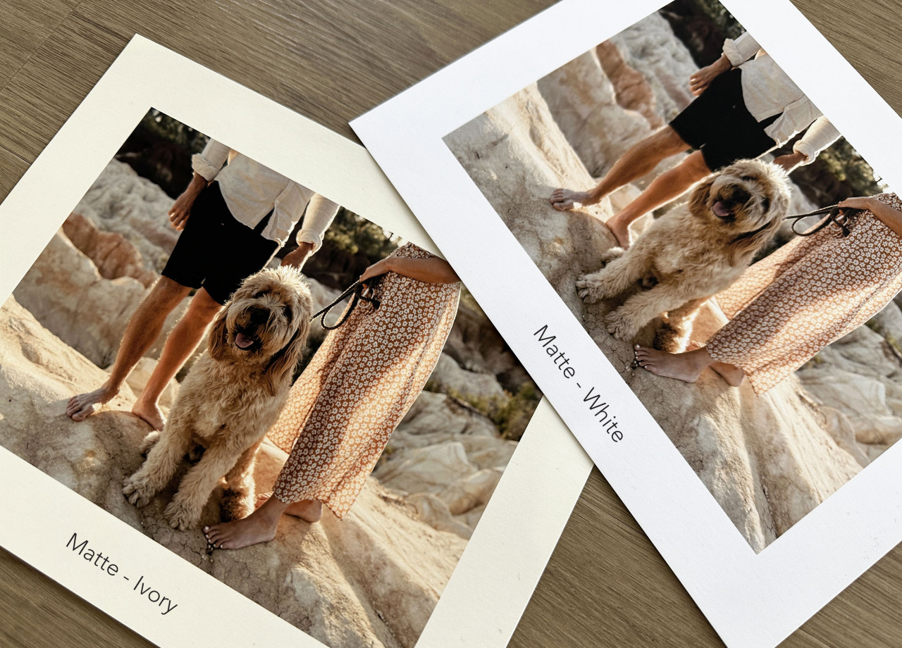 PHOTOGRAPHIC PRINTS