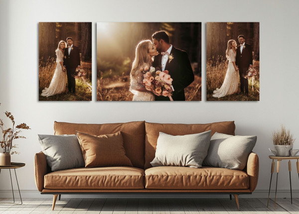 CANVAS COLLECTIONS